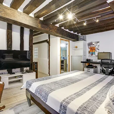 Luxury Loft Center Of 아파트 파리